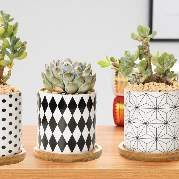 Home Goods & More